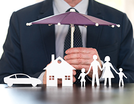 Schnurbus & Kollegen