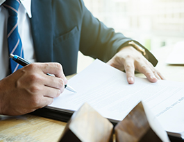 Schnurbus & Kollegen