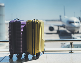 Schnurbus & Kollegen