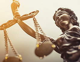 Schnurbus & Kollegen