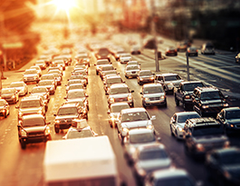 Schnurbus & Kollegen